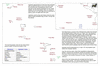 ame33 ingraham working_thumb.gif